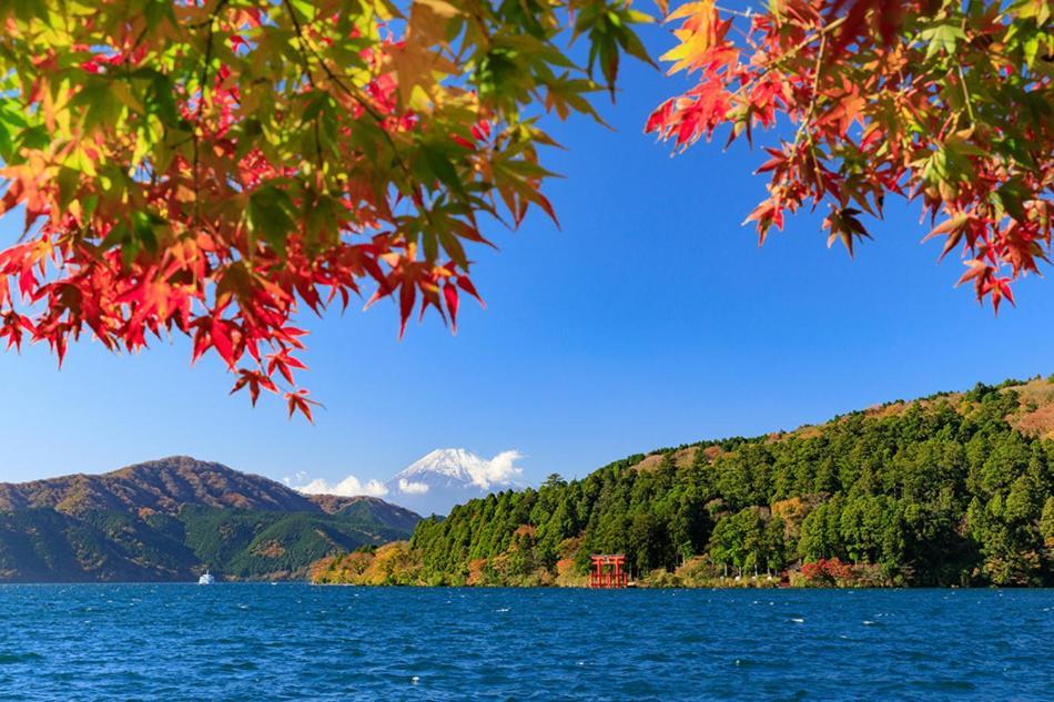 New Open『天然温泉』芦ノ湖畔の完全貸切別荘 Hakone Kültér fotó